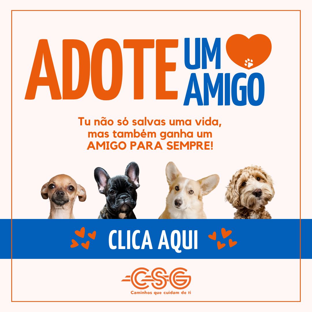 Adote um Amigo